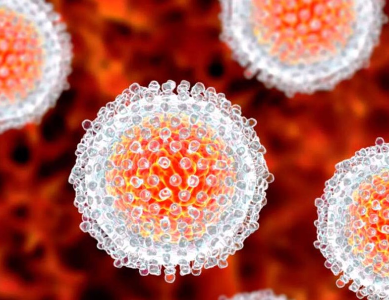 Вирусный гепатит "А" меры профилактики